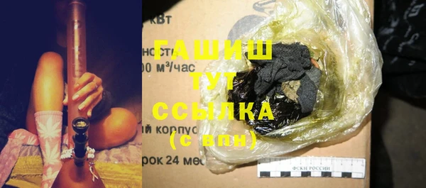 индика Мегион