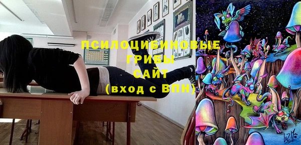 стафф Медногорск