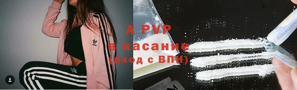 стафф Медногорск