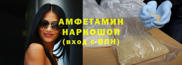 индика Мегион