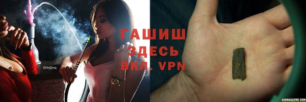 индика Мегион