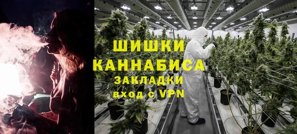 индика Мегион