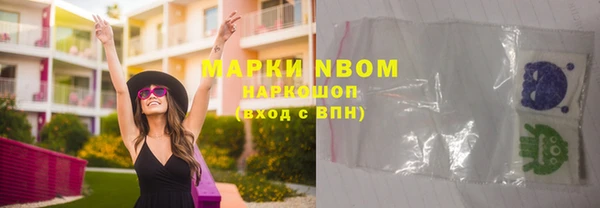 индика Мегион
