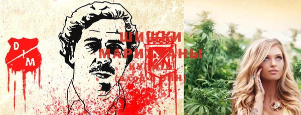 спиды Медвежьегорск