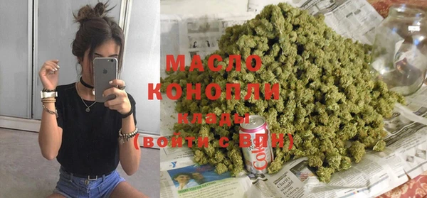 индика Мегион