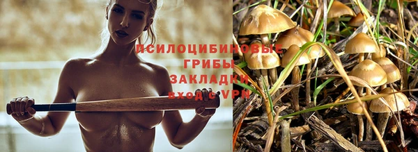 спиды Медвежьегорск