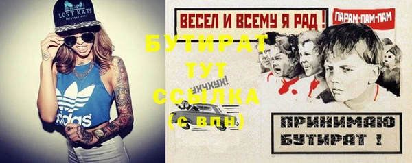 индика Мегион