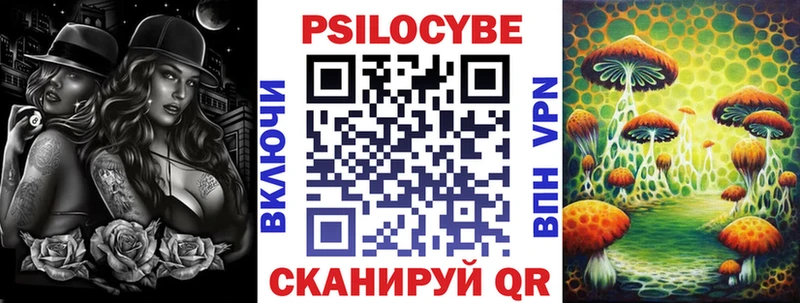 Купить  Новосибирск  Псилоцибиновые грибы Psilocybe 